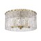 Z-Lite Glacier Flush Mount, 5-Light, 16.75 In.W x 8 In.H, Modern Gold/Clear 1943F16-MGLD - alternate 3